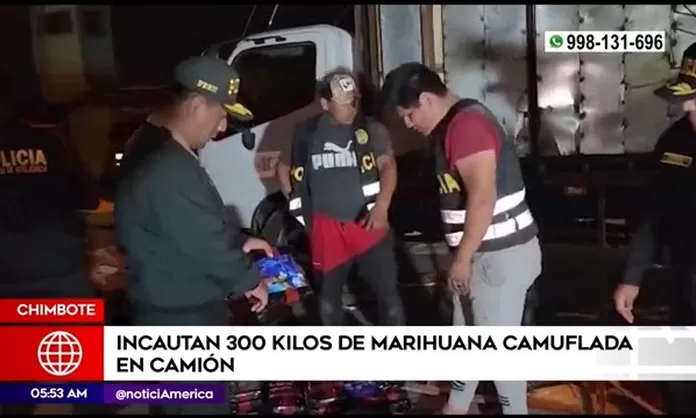 Chimbote Incautan 300 kilos de marihuana camuflada en camión