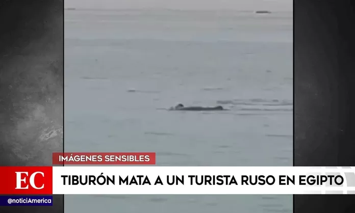 Tiburón mató a un turista ruso en Egipto