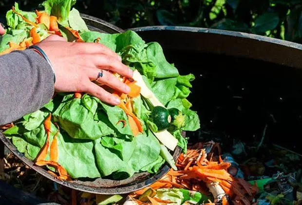 sinba empresa peruana que recicla