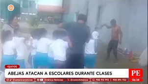 Abejas atacan a escolares durante clases en Iquitos. Foto y video: América Noticias