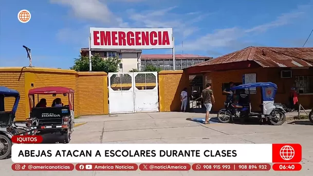 Abejas atacan a escolares durante clases en Iquitos. Foto: América Noticias