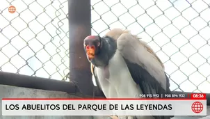 Video: América Noticias