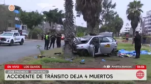 Un vehículo se despistó y colisionó violentamente contra una palmera, según información preliminar recogida por la Policía en el lugar de los hechos. / Video: América Noticias