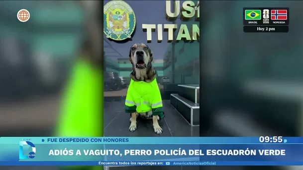 Fuente: Domingo Al Día Fuente: Domingo Al Día