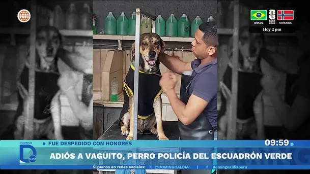 Fuente: Domingo Al Día Fuente: Domingo Al Día