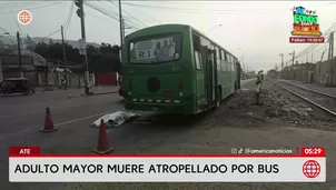 Adulto mayor muere tras ser atropellado en Ate. Foto y video: América Noticias