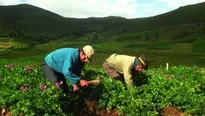 "A partir de junio ya tenemos proyectos que están en construcción", dijo Vizcarra. Foto referencial: AgroPerú  