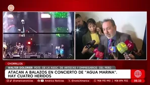 Asociación de Artistas y Empresarios del Perú: “Sí teníamos permiso para show de Agua Marina”. Foto y video: América Noticias