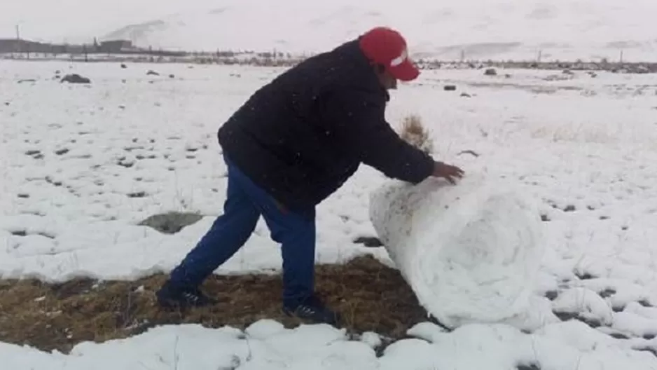 Nevadas en Puno. Foto: Andina