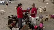 Señaló que los canes consumen en total 150 kilos de alimento diarios / Video: Canal N