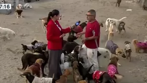 Señaló que los canes consumen en total 150 kilos de alimento diarios / Video: Canal N