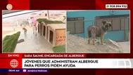 Albergue para perros necesita ayuda en Mi Perú