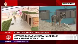 Jóvenes que administran albergue para perros piden ayuda en Mi Perú. Foto y video: América Noticias