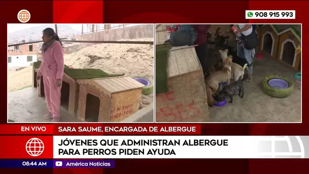 Jóvenes que administran albergue para perros piden ayuda en Mi Perú. Foto: América Noticias