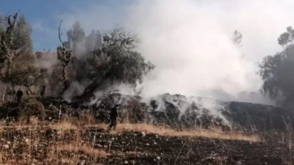 Siniestro causó alarma por su magnitud y por la emisión de gases. Foto: ANDINA