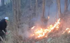 Áncash: incendio forestal en Ocros arrasó con cuatro hectáreas de bosque - Noticias de ancash