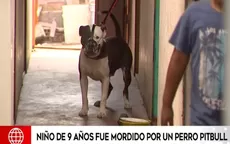Ancón: Niño de 9 años fue mordido por perro Pitbull  - Noticias de perro
