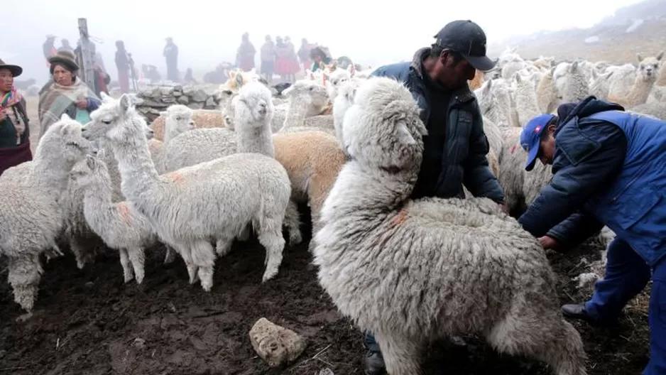  La lluvia y la nieve también ha provocado derrumbes en la vía interprovincial / Foto: Andina