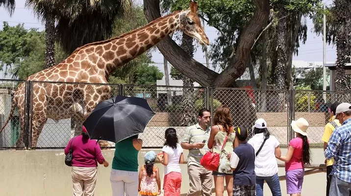 Los asistentes que visiten el parque podrán disfrutar de la gran colección zoológica / Foto: Archivo El Comercio Los asistentes que visiten el parque podrán disfrutar de la gran colección zoológica / Foto: Archivo El Comercio