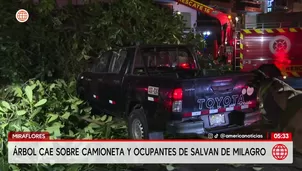 Árbol cae sobre camioneta y ocupantes se salvan de milagro en Miraflores. Foto y video: América Noticias