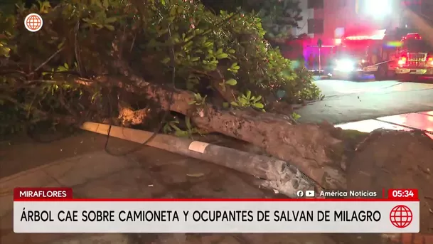 Árbol cae sobre camioneta y ocupantes se salvan de milagro en Miraflores. Foto: América Noticias Árbol cae sobre camioneta y ocupantes se salvan de milagro en Miraflores. Foto: América Noticias