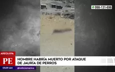 Arequipa: Hombre habría muerto por ataque de perros callejeros - Noticias de arequipa