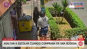 Asaltan a escolar de 13 años en bodega de Los Olivos. Foto y video: América Noticias