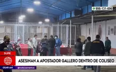 Asesinan a apostador en coliseo de gallos en Supe - Noticias de sicarios