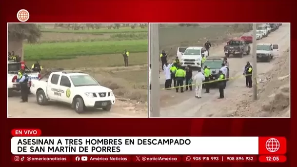 Asesinan a tres hombres en descampado de San Martín de Porres. Foto: América Noticias Asesinan a tres hombres en descampado de San Martín de Porres. Foto: América Noticias