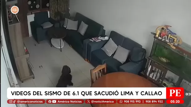 Videos del sismo de 6.1 que sacudió Lima y Callao. Foto: América Noticias