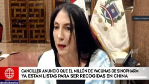 La ministra de Relaciones Exteriores, Elizabeth Astete. Video: América