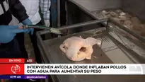 Intervienen avícola en Ate. América Noticias