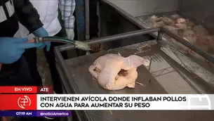 Intervienen avícola en Ate. América Noticias