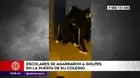 Ate: Escolares se enfrentaron a golpes en la puerta de su colegio