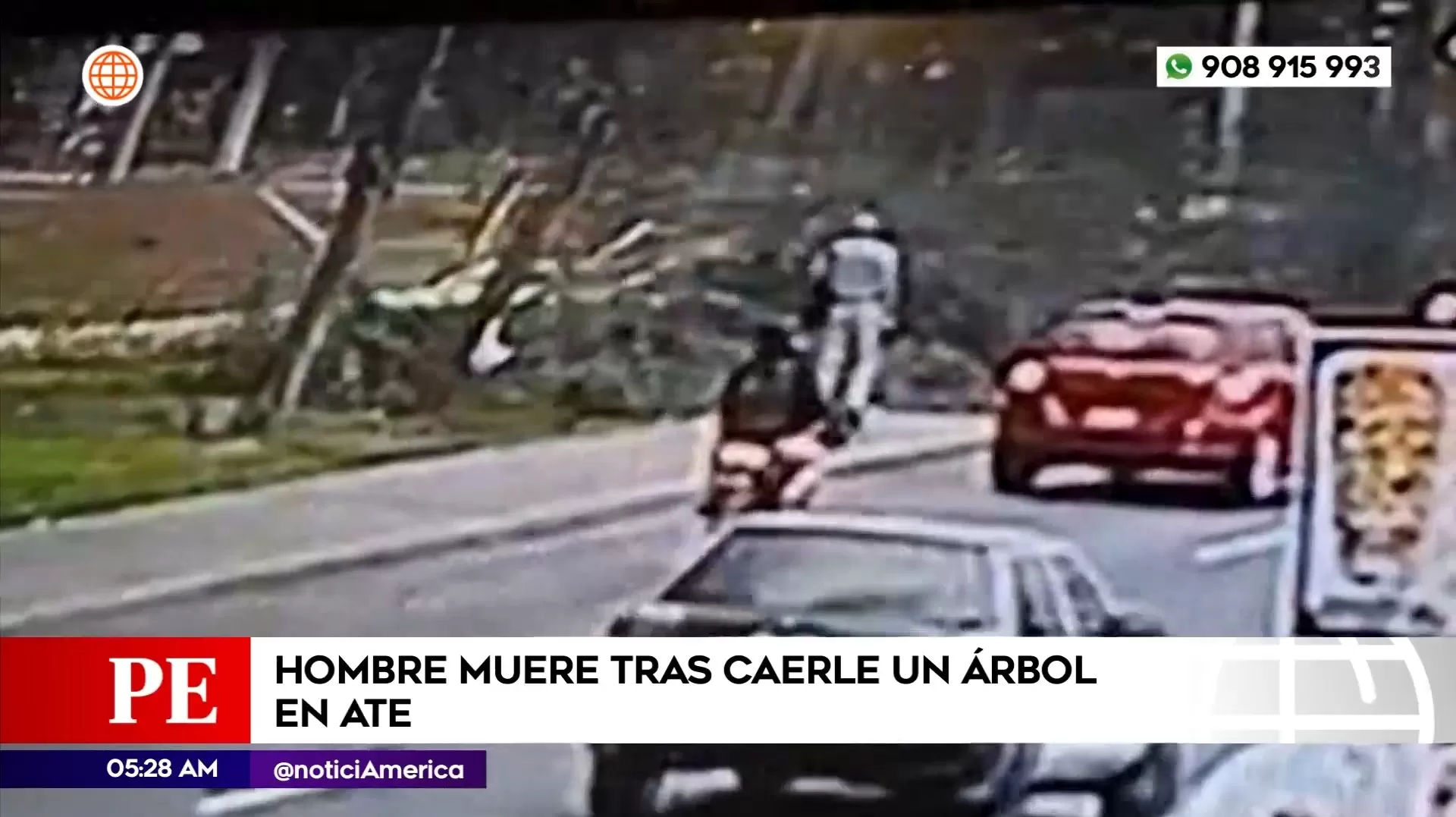 Hombre murió tras caerle un árbol en Ate. Foto: América Noticias