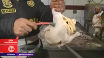 Los pollos eran inflados con agua contaminada. Foto: captura de TV