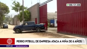 Niña fue atacada por un pitbull. América Noticias