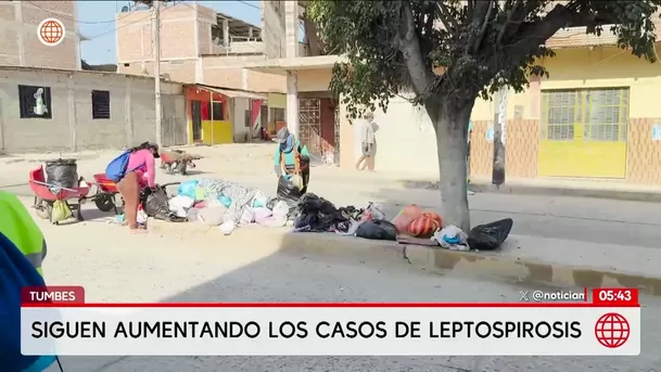 Aumentan casos de leptospirosis por crisis de basura en Tumbes. Foto: América Noticias Aumentan casos de leptospirosis por crisis de basura en Tumbes. Foto: América Noticias