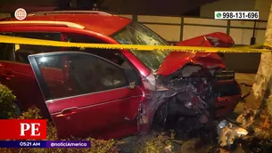 Camioneta terminó empotrada contra una palmera | Video: América Noticias