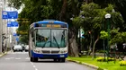 Corredor Azul: Carril bidireccional de la avenida Arequipa inicia plan piloto por 30 días