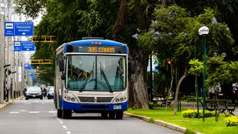 Corredor Azul. Foto: Andina / Video: Canal N