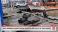 Aves marinas aparecen muertas en playa de Pisco. Foto y video: América Noticias