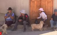 Ayacucho: solo 8 habitantes permanecen en Ushua tras caso de intoxicación - Noticias de intoxicacion