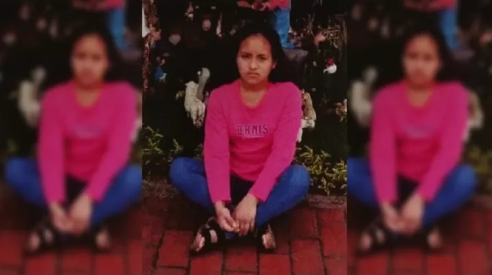 Lisbeth Qqueso Casilla desapareció en Comas Lisbeth Qqueso Casilla desapareció en Comas