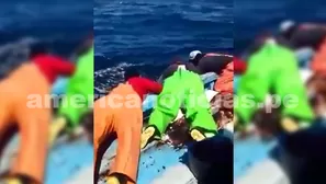 Entre los meses de julio a octubre, la población de cetáceos migra hacia el litoral norteño / Video: americanoticias.pe