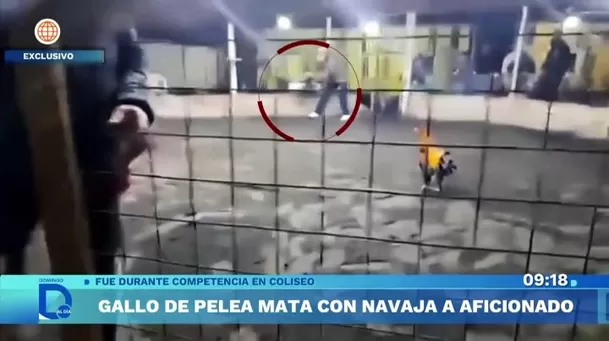 Fuente: Domingo Al Día Fuente: Domingo Al Día