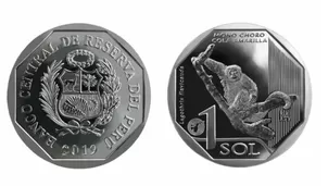 Se trata de la octava moneda de la serie numismática “Fauna Silvestre Amenazada del Perú” (Foto: BCR)