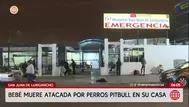 Bebé de 11 meses muere tras ataque de perros pitbull en SJL