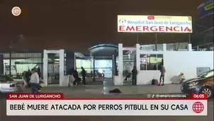 Bebé de 11 meses muere tras ataque de perros pitbull en SJL / América Noticias