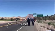 Moquegua: Bloqueo deja un fallecido tras accidente en puente Montalvo